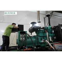 Deutsch Mtu Diesel Generator Set (800kw)